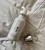 thbo4027thbo4027,1.webp