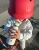 thbo4027thbo4027,2.webp