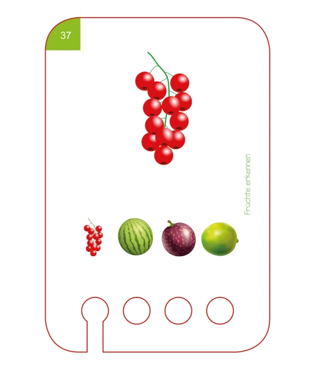 21658-4.webp