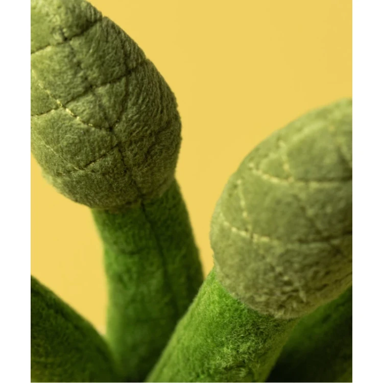 zabawne-szparagi-22-cm (5).webp