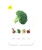 21641-4.webp