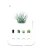 21665-4.webp