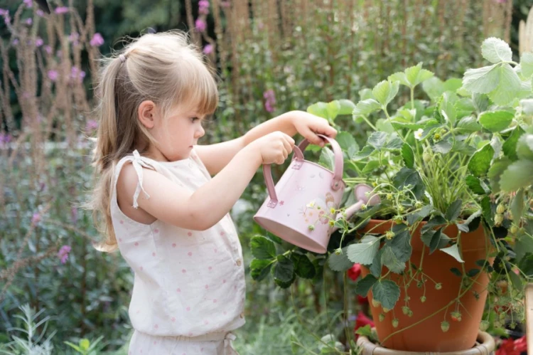 Konewka-Fairy-Garden--Little-Dutch (4).webp