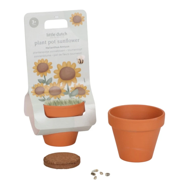 Slonecznik-do-samodzielnej-uprawy--Little-Dutch (3).webp
