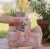 Zestaw-prezentowy-malego-ogrodnika-Fairy-Garden--Little-Dutch (3).webp