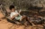 pol_pl_Little-Dutch-Drewniana-gitara-zielona-Safari-Friends-FSC-6019_2.webp