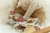 pol_pl_Little-Dutch-Ksiazeczka-aktywizujaca-Safari-Friends-GRS-6051_5.webp