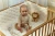 pol_pl_Little-Dutch-Zestaw-prezentowy-Safari-Friends-GRS-6055_4.webp