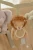 pol_pl_Little-Dutch-Zawieszka-interaktywna-do-wozka-fotelika-Safari-Friends-GRS-6058_6.webp