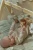 pol_pl_Little-Dutch-Palak-interaktywny-Safari-Friends-GRS-6059_10.webp