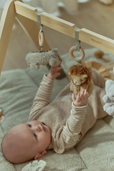pol_pl_Little-Dutch-Palak-interaktywny-Safari-Friends-GRS-6059_10.webp