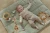 pol_pl_Little-Dutch-Interaktywna-mata-aktywizujaca-Safari-Friends-GRS-6061_4.webp