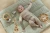 pol_pl_Little-Dutch-Interaktywna-mata-aktywizujaca-Safari-Friends-GRS-6061_10.webp