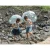 um2706um2706,3.webp