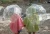 um2676um2676,8.webp