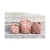 kot-plecak-duzy (5).webp