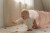 Tunel-Fairy-Garden--Little-Dutch (2).webp