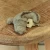 pol_pm_Little-Dutch-Breloczek-Krokodyl-Safari-Friends-GRS-6027_6.webp
