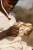 pol_pm_Little-Dutch-Projektor-Lew-Safari-Friends-FSC-6205_11.webp