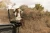 pol_pm_Little-Dutch-Projektor-Lew-Safari-Friends-FSC-6205_14.webp