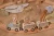 pol_pm_Little-Dutch-Pociag-z-torami-Safari-Friends-FSC-6211_2.webp