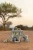 pol_pm_Little-Dutch-Drewniany-samochod-sorter-Safari-Friends-FSC-6213_7.webp
