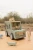 pol_pm_Little-Dutch-Drewniany-samochod-sorter-Safari-Friends-FSC-6213_8.webp