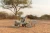 pol_pm_Little-Dutch-Drewniany-samochod-sorter-Safari-Friends-FSC-6213_9.webp