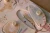 pol_pm_Little-Dutch-Puzzle-dzwiekowe-Safari-Friends-FSC-6216_8.webp