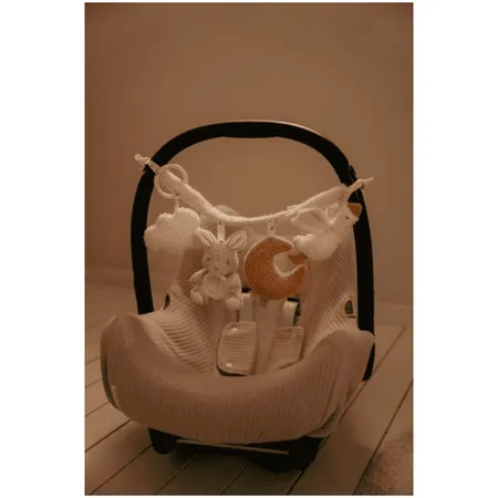 pol_pm_Little-Dutch-Zawieszka-interaktywna-do-wozka-fotelika-Newborn-Naturals-5351_2_wynik.webp