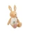 6.webp