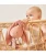 6_2.webp