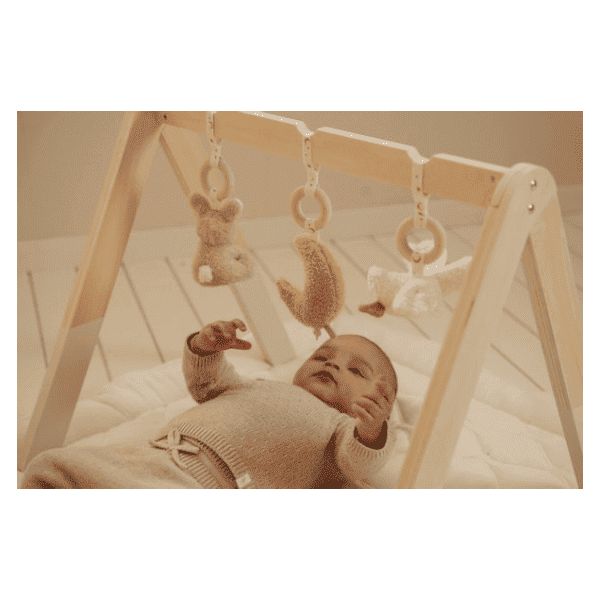 pol_pl_Little-Dutch-Palak-interaktywny-Newborn-Naturals-5352_4.png