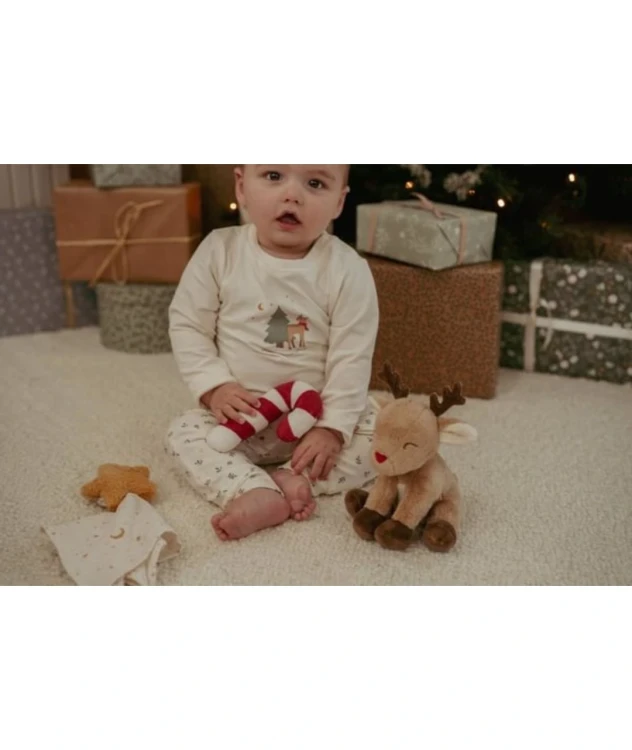 Pizamka-świąteczna-little-dutch (2).webp