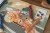 pol_pl_Little-Dutch-Kreatywny-zeszyt-z-kredkami-Jim-Friends-5639_9.webp