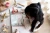 pol_pl_Little-Dutch-Kreatywny-zeszyt-z-kredkami-Rosa-Friends-5640_15.webp