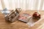 pol_pl_Little-Dutch-Naklejki-wielokrotnego-uzytku-Jim-Friends-5643_6.webp