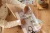 pol_pl_Little-Dutch-Ksiazeczka-z-naklejkami-Jim-na-ulicy-5645_10.webp