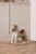 Kon-na-biegunach-Sam-AIDEN--Kids-Concept (3).webp