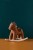 Kon-na-biegunach-Vera-AIDEN--Kids-Concept (1).webp