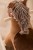 Kon-na-biegunach-Vera-AIDEN--Kids-Concept (9).webp