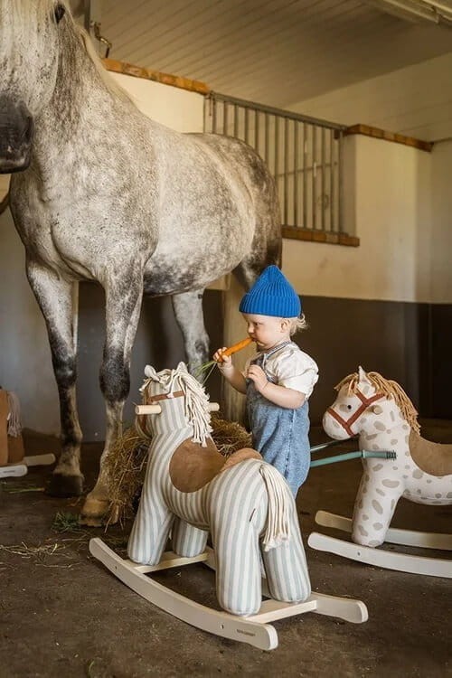 Kon-na-biegunach-Dotty-AIDEN--Kids-Concept (1).webp