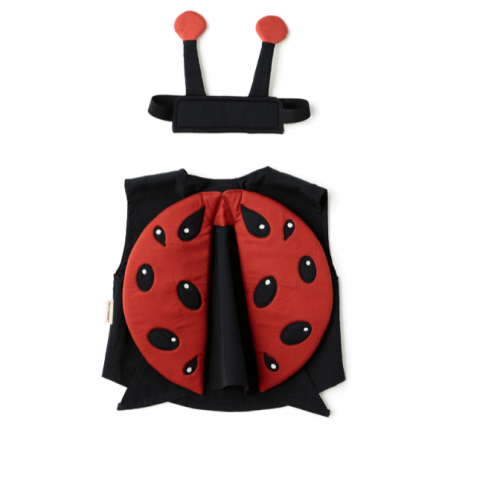 Stroj-biedronki--Kids-Concept.webp