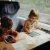 Tablet-graficzny-z-szablonami-do-rysowania-KIDYDRAW-MINI---princess--Kidywolf (2).webp