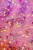 Wklad-do-sloikow,-figurki,-brokaty-i-barwniki-Fun-Fillers---Space--Glo-Pals (1).webp