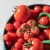 Gryzak-grzechotka---Pomidorki--Oli-and-Carol (2).webp