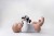 Takane-pilka-puzzlowa-montessori--Moms-Care (2).webp