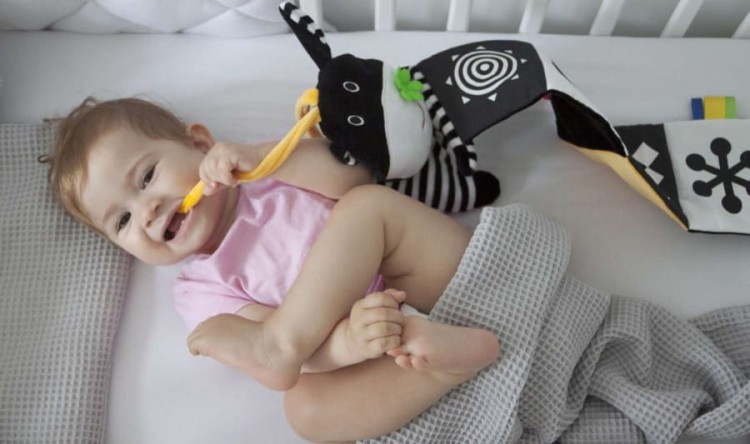 Ksiazeczka-do-lozeczka-Kroweczka--Moms-Care (1).webp