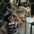 Lornetka-KIDYBINOCULAR--Kidywolf (6).webp