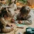 Samochod-zdalnie-sterowany-KIDYCAR---czerwony--Kidywolf (6).webp